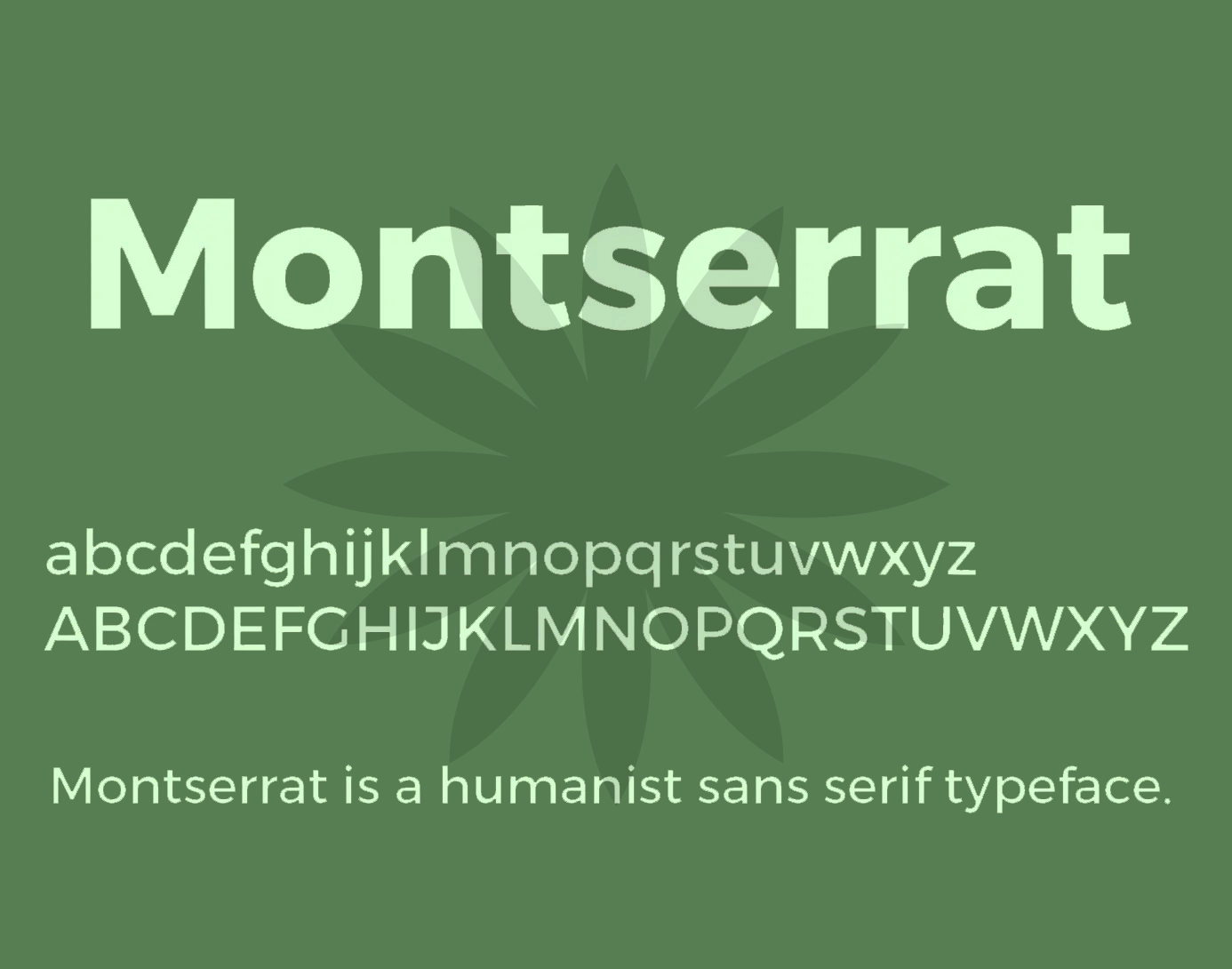 Font Montserrat